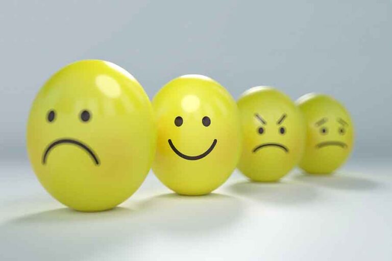 Do Ants Feel Pain How Ants And Other Insects Deal With Pain Misfit 