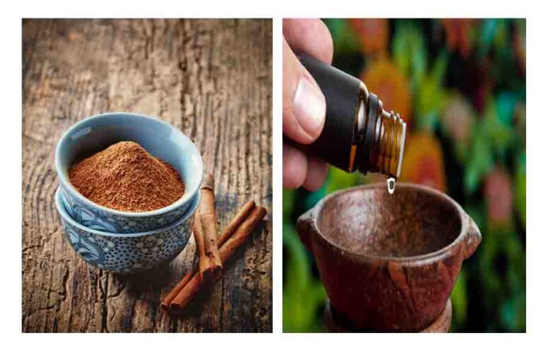 Does Cinnamon Kill Ants? (How To Use Cinnamon Against Ants) Misfit