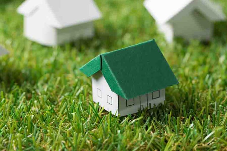 Does Baking Soda Kill Ants? (How To Use It Against Ants)