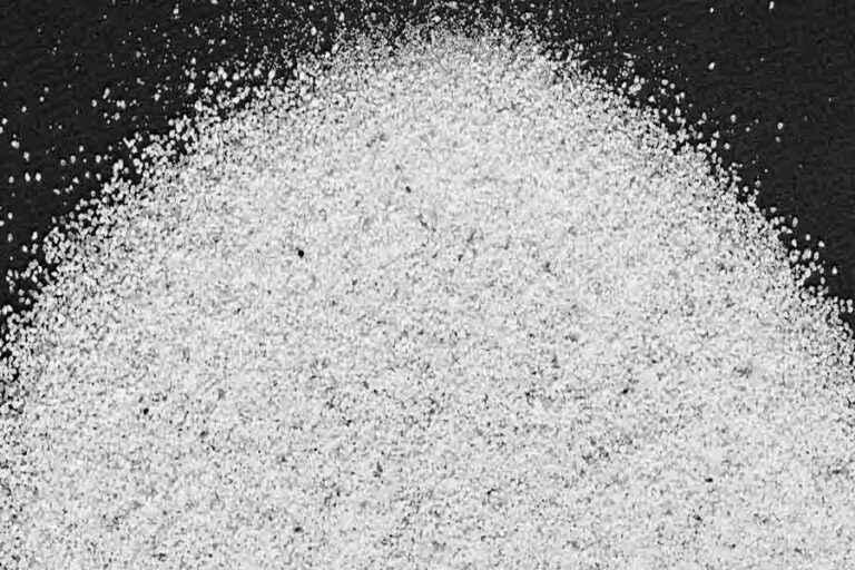 What Kills Ticks On Dogs Instantly 7 Effective Remedies