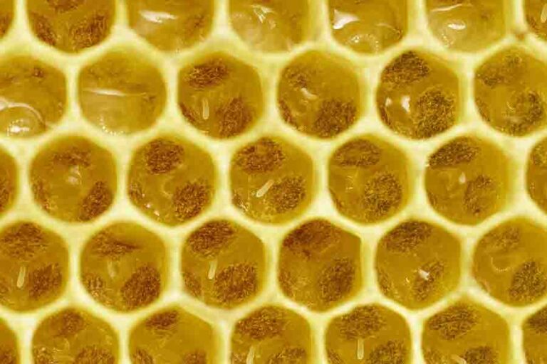 Can You Eat Beeswax & (Benefits, Uses & Risks)