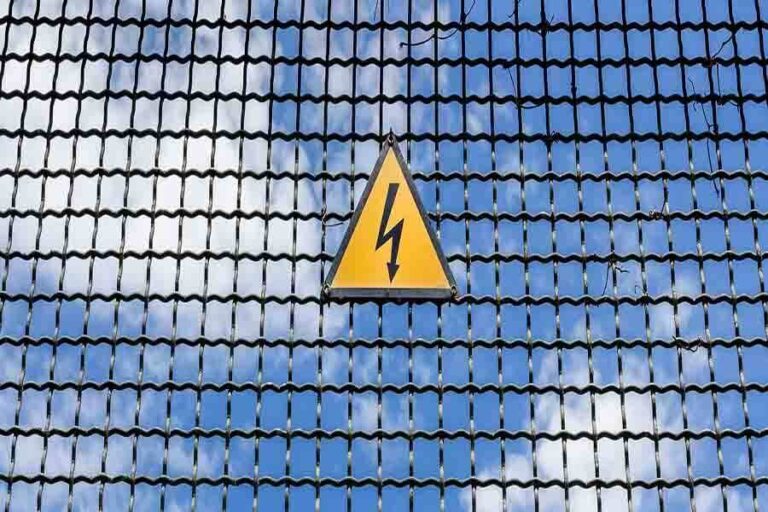 How High Can A Fox Jump & Can They Climb Fences?