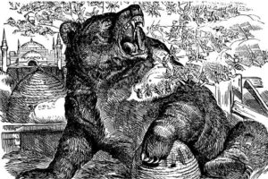 Do Bears Eat Honey Or Is It A Myth? Misfit Animals
