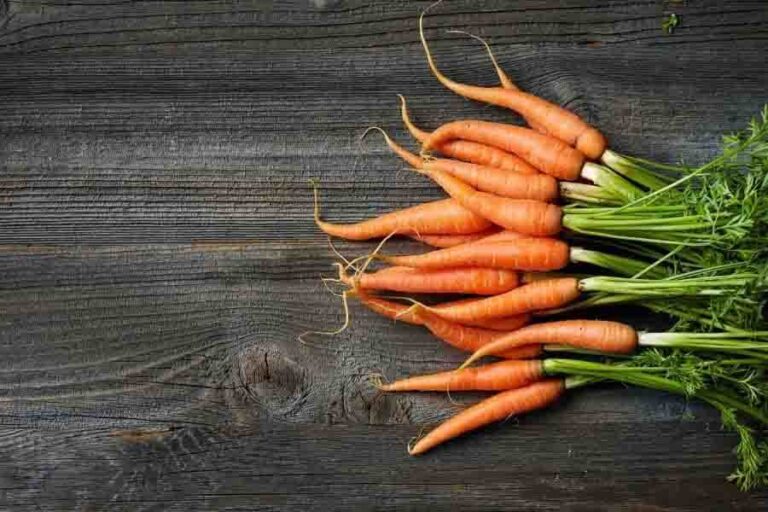 Safe Fruits And Vegetables For Rats The Only Guide You Need