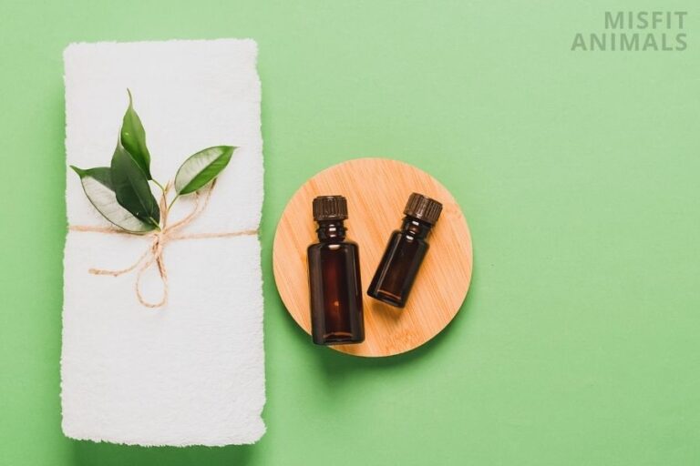 Tea Tree Oil For Fleas On Dogs Is It Safe For Your Pet?