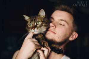 Friendliest Animals