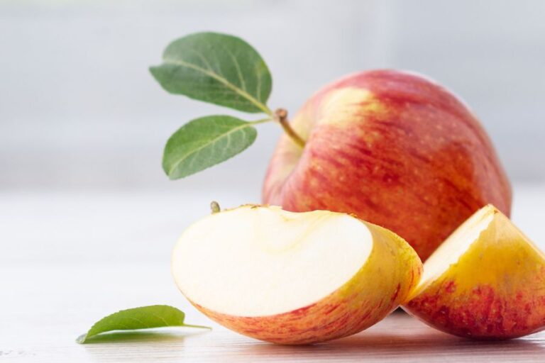 Safe Fruits And Vegetables For Rats The Only Guide You Need