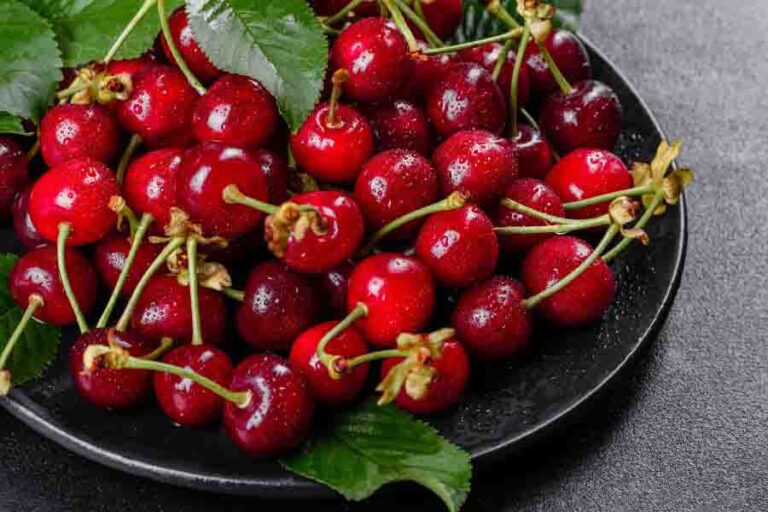 Safe Fruits And Vegetables For Rats The Only Guide You Need