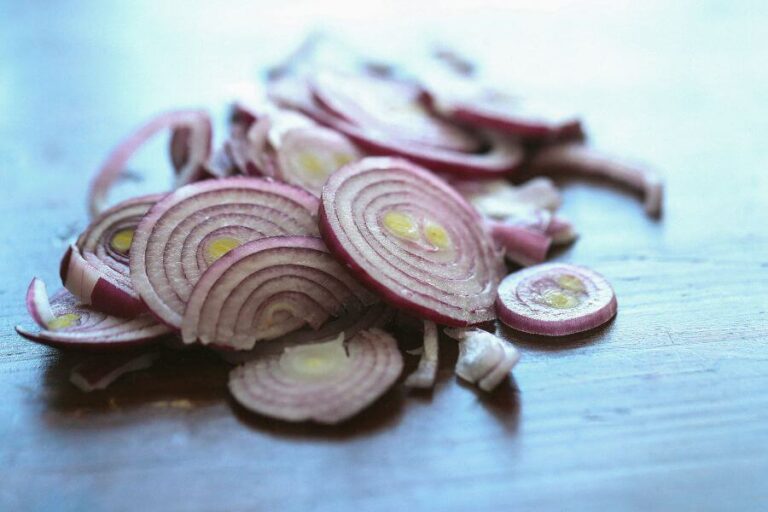 Can Rats Eat Onions? Are They Toxic To Rats?