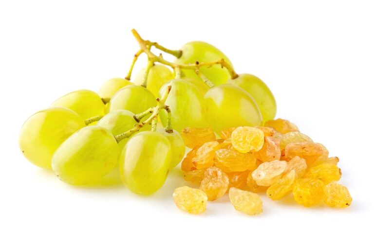 Safe Fruits And Vegetables For Rats The Only Guide You Need