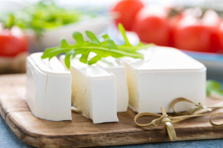 Can Rats Eat Cheese & Do They Like It? Misfit Animals