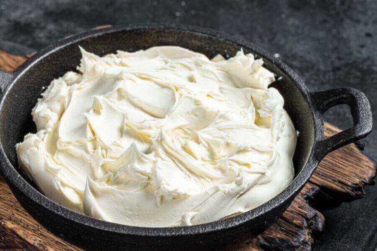 Can Rats Eat Cheese & Do They Like It? Misfit Animals