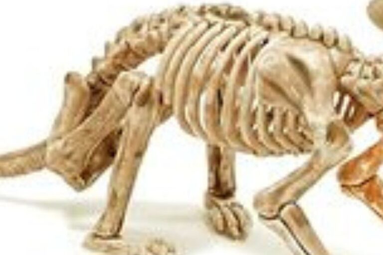 Do Rats Have Bones? (How They Squeeze Under Doors)