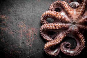 How Many Hearts Does An Octopus Have? (How It Works)